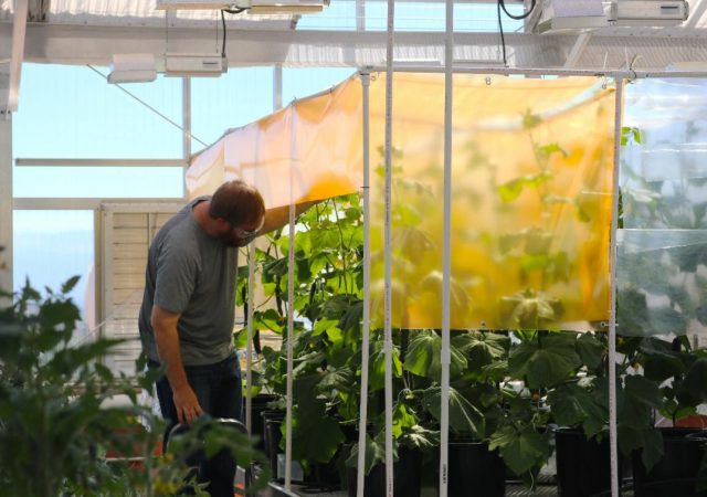 JTIP Supports New Jobs for New Mexico