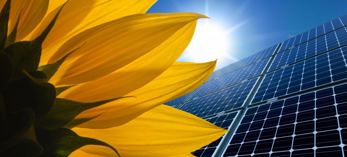 NARENCO establishing Solar Operations in Florence County, South Carolina