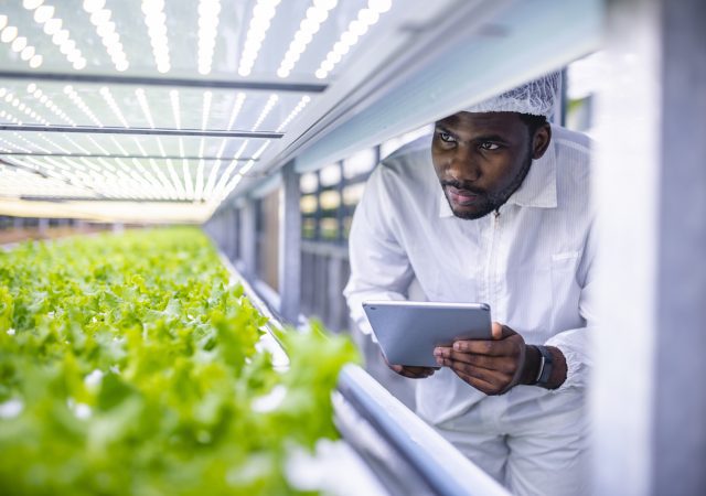 Agriculture Technology in Hampton County South Carolina