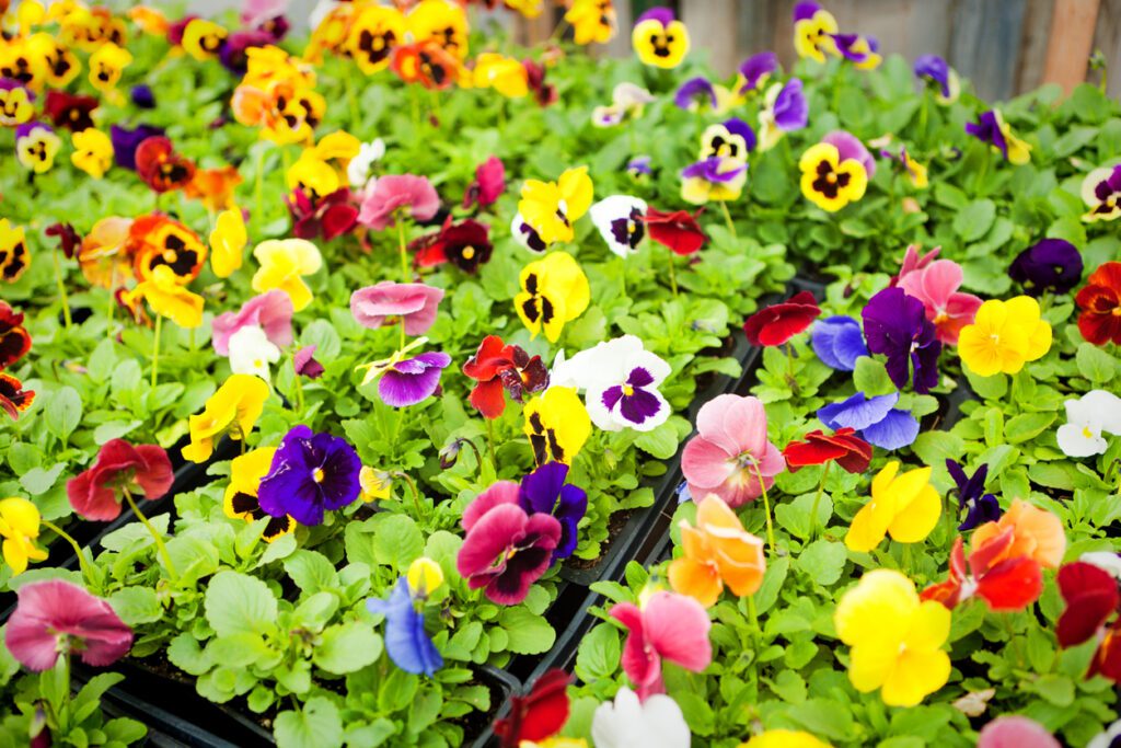 East Jordan Plastics to Invest 44M in Toombs County Expansion Solutions