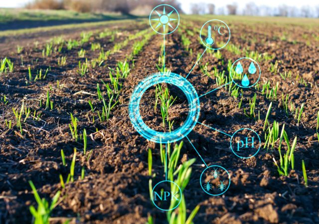 Conceptual presentation of the collection of important data and analysis of plant growth on the farm field to increase agricultural productivity
