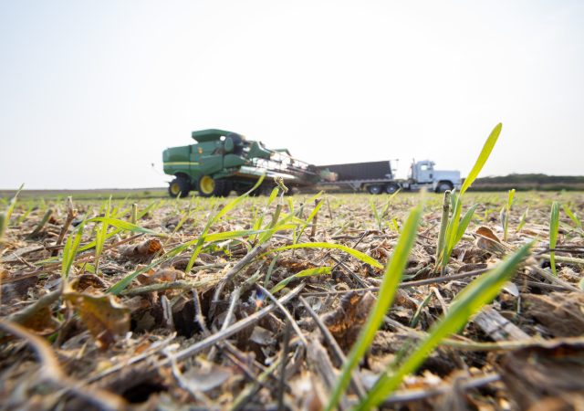 Cargill, a global food and agriculture leader