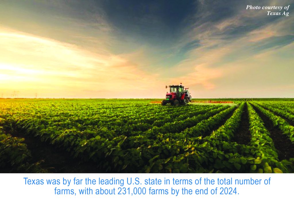 Agribusiness photo