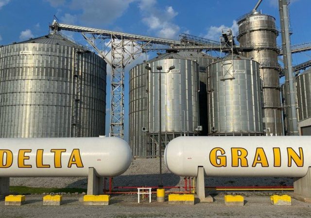 Delta Grain Mississippi