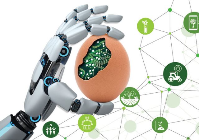 Food Processing Blog Header