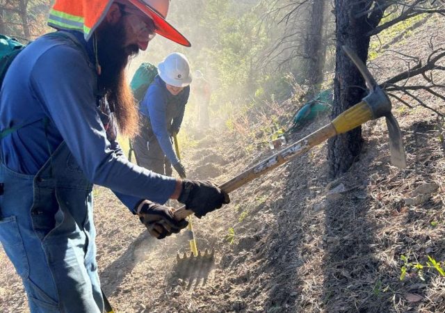 Rocky Mountain Youth Corps hires youth from New Mexico to restore and maintain trails in national forests across the state