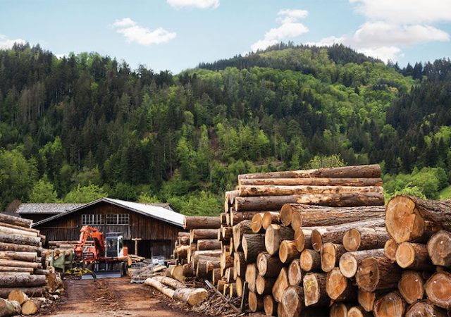 Forestry Blog Header