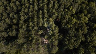 Bell Lumber & Pole Expands Manufacturing Operations in De Queen ...